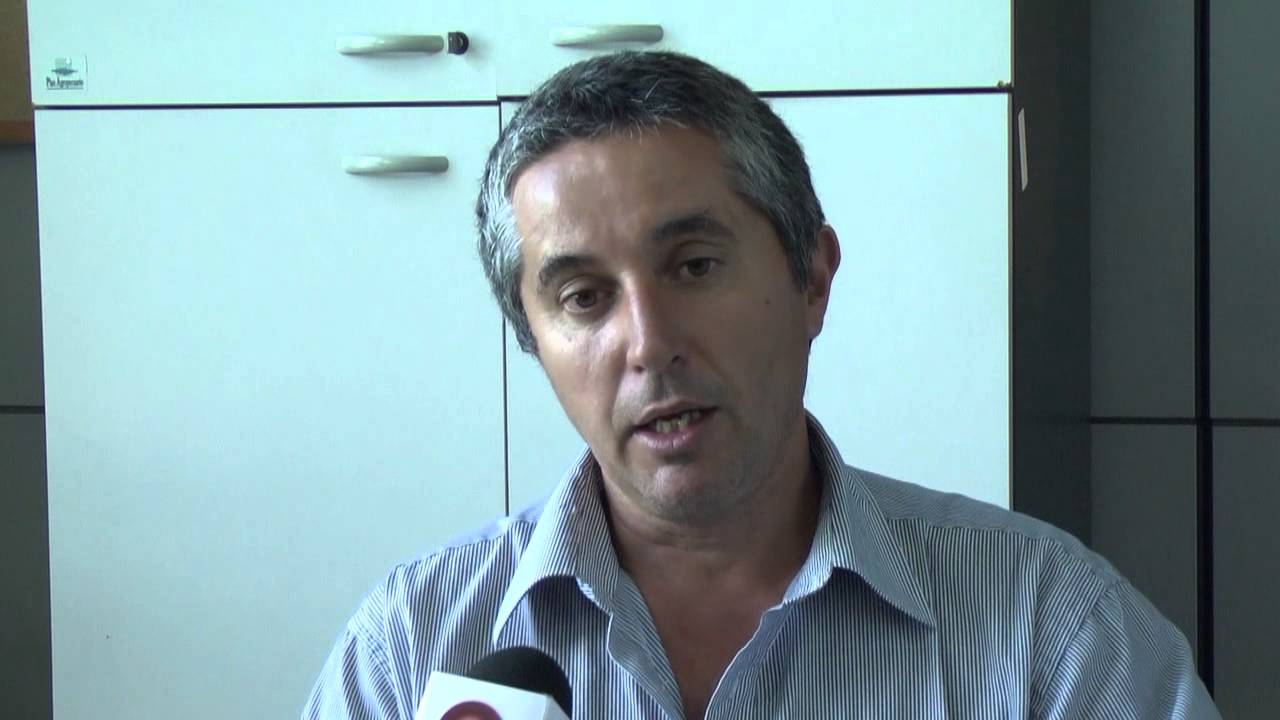 Siembra de verdeos y praderas. Estado de las praderas.