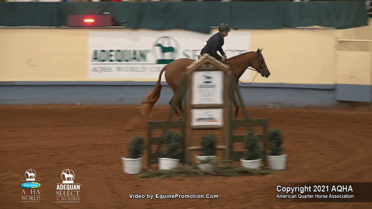 2021 AQHA Junior Working Hunter