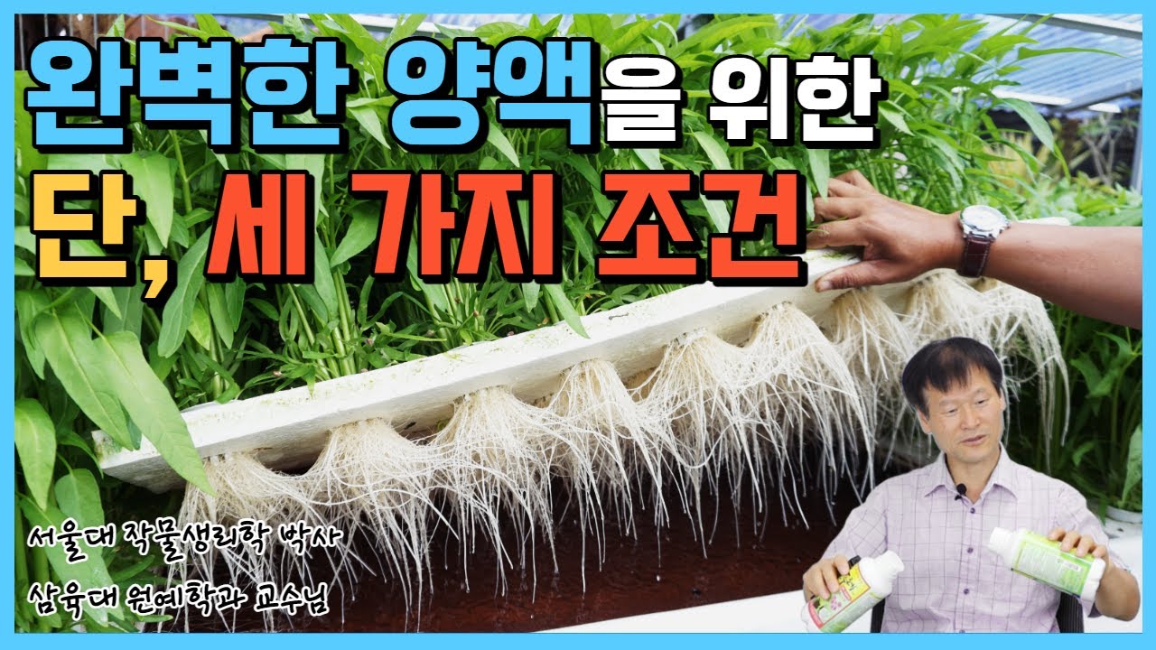 수경재배 양액 관리 어려우시죠? 딱 세가지만 기억하세요.