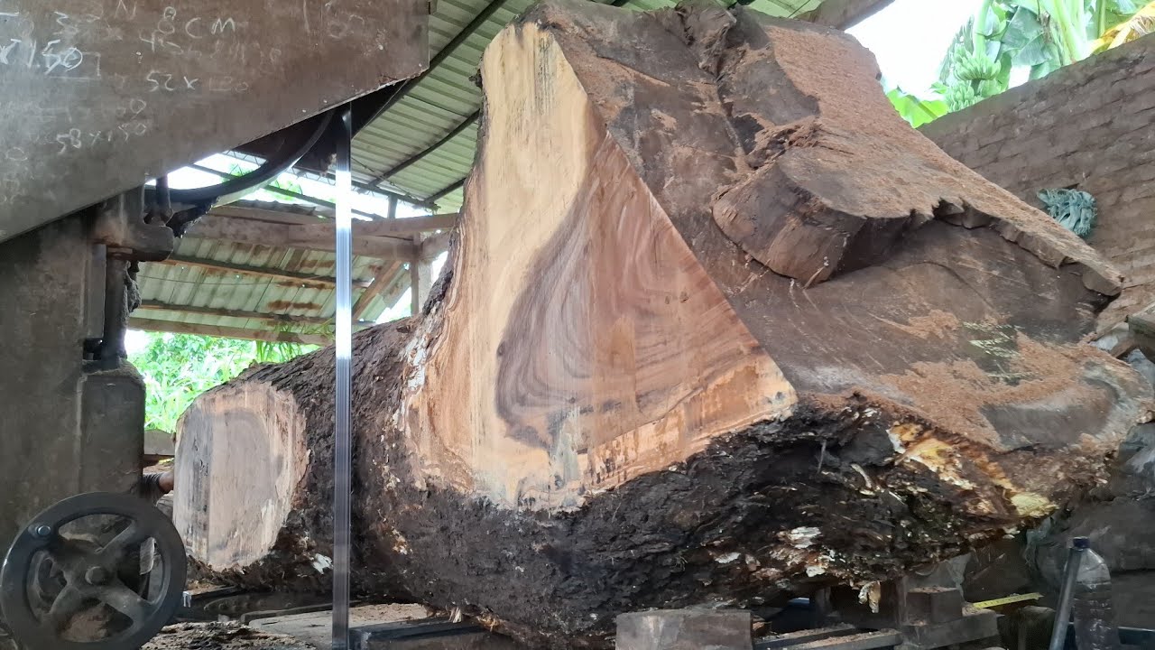 extreme and risky wood cutting techniques in modern sawmills