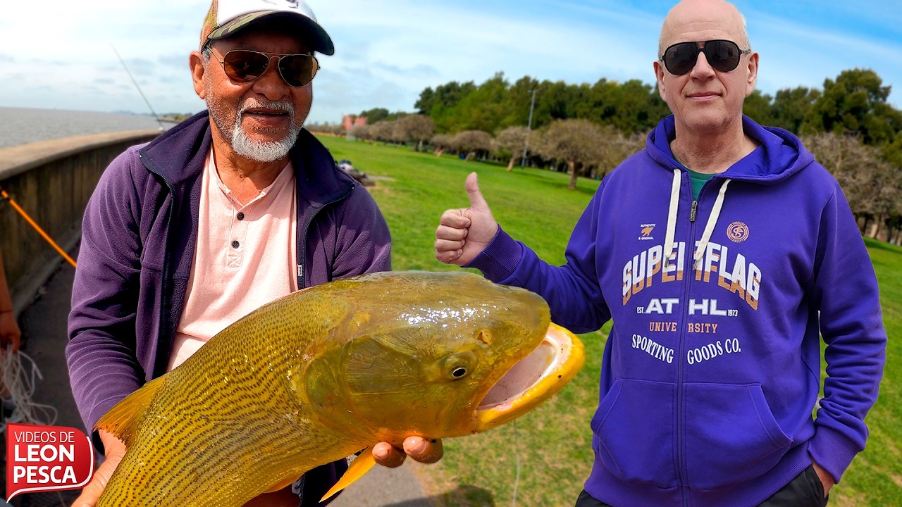 DORADOS GIGANTES en la CIUDAD 🎣 Pesca urbana en Buenos Aires | Boga, S&aacute;balo y Carpa