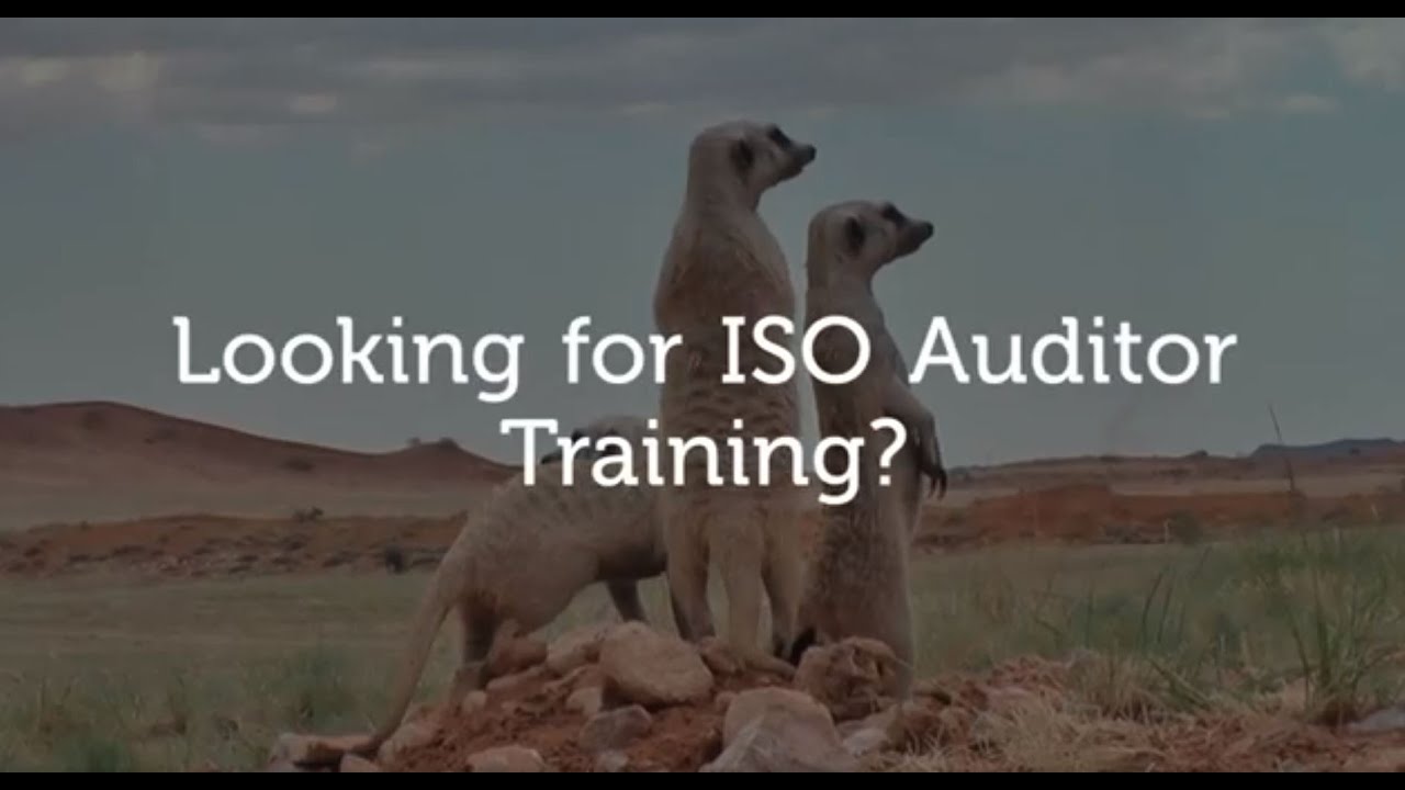 ISO Auditor Training: On-demand Courses That You Can Take Online