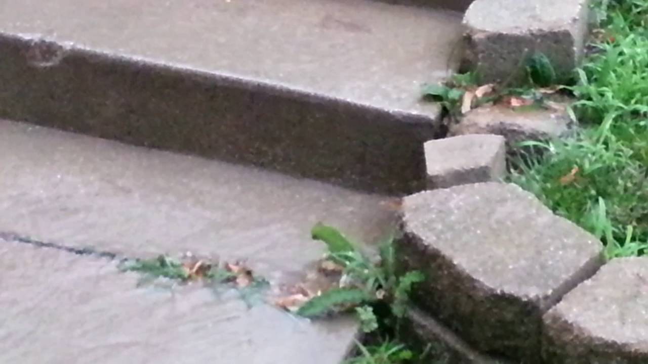 Drainage Problems 2016