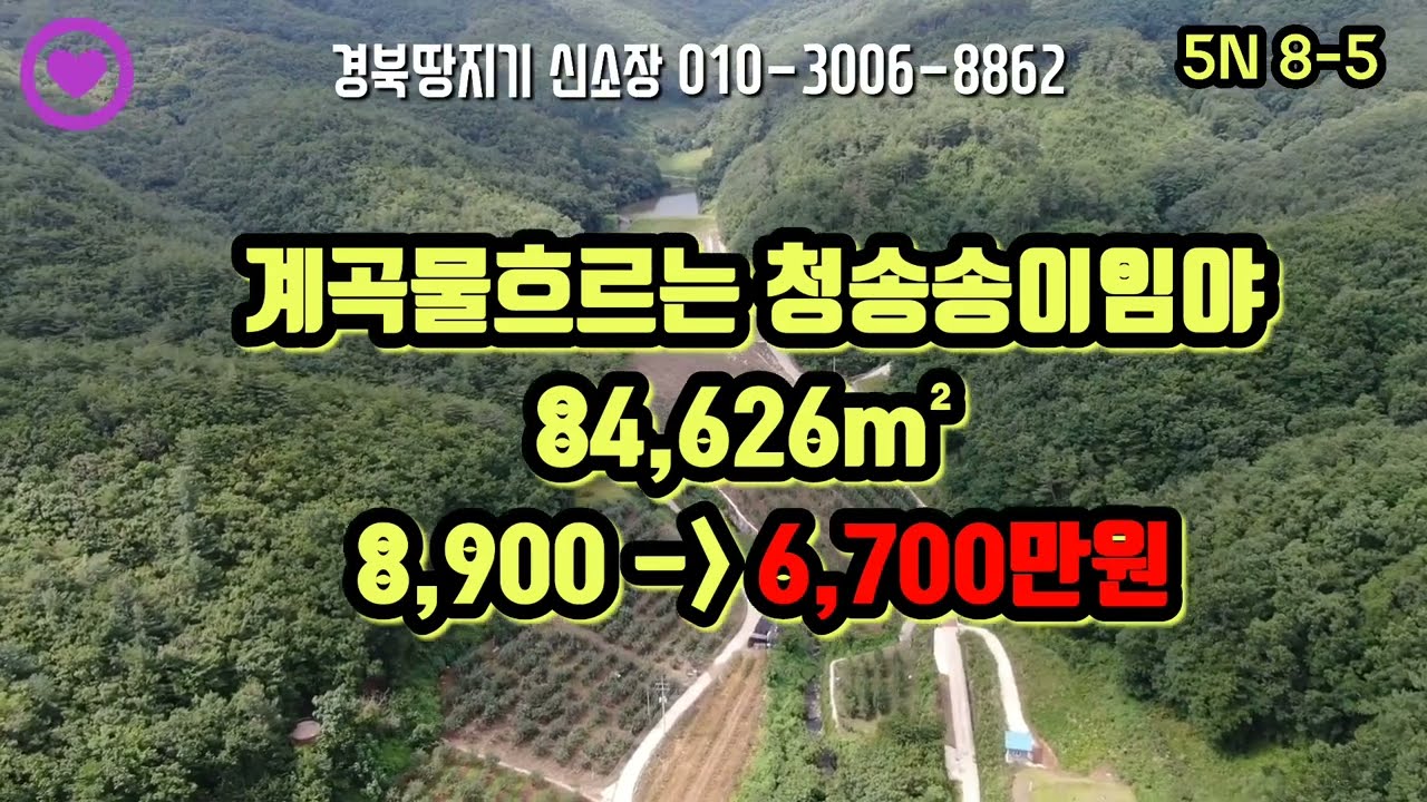 #계곡물 흐르는 청송송이임야#청송부동산#청송토지#청송땅#청송촌집#청송전원주택@경북땅지기