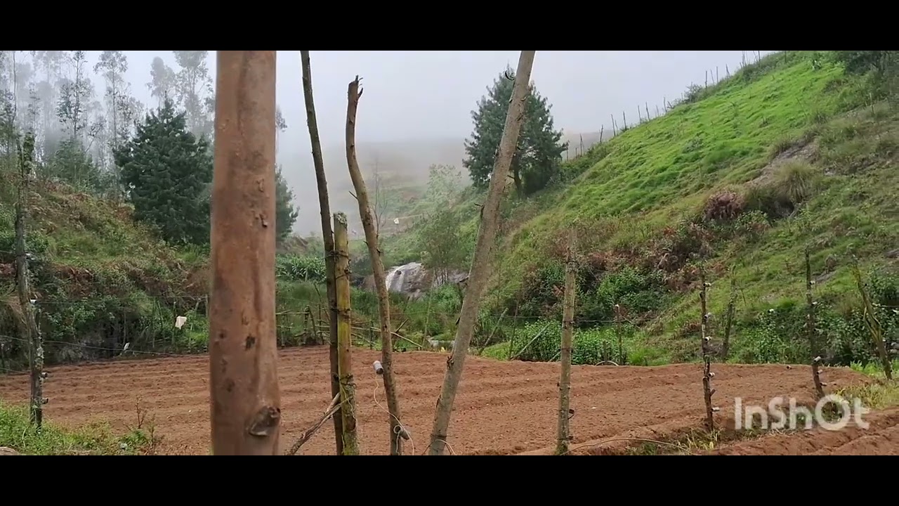 kodaikanal mannavanur near poondi 2 acres of land near by river for sale 88389 52994