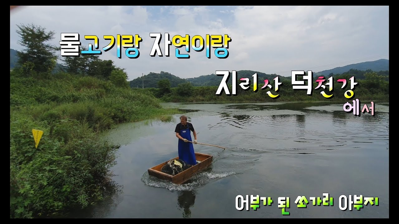 지리산 덕천강에서 어부가된 쏘가리 아부지