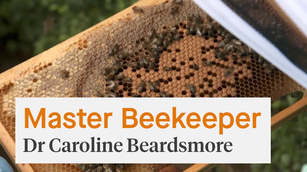 Master Beekeeper - Dr Caroline Beardsmore