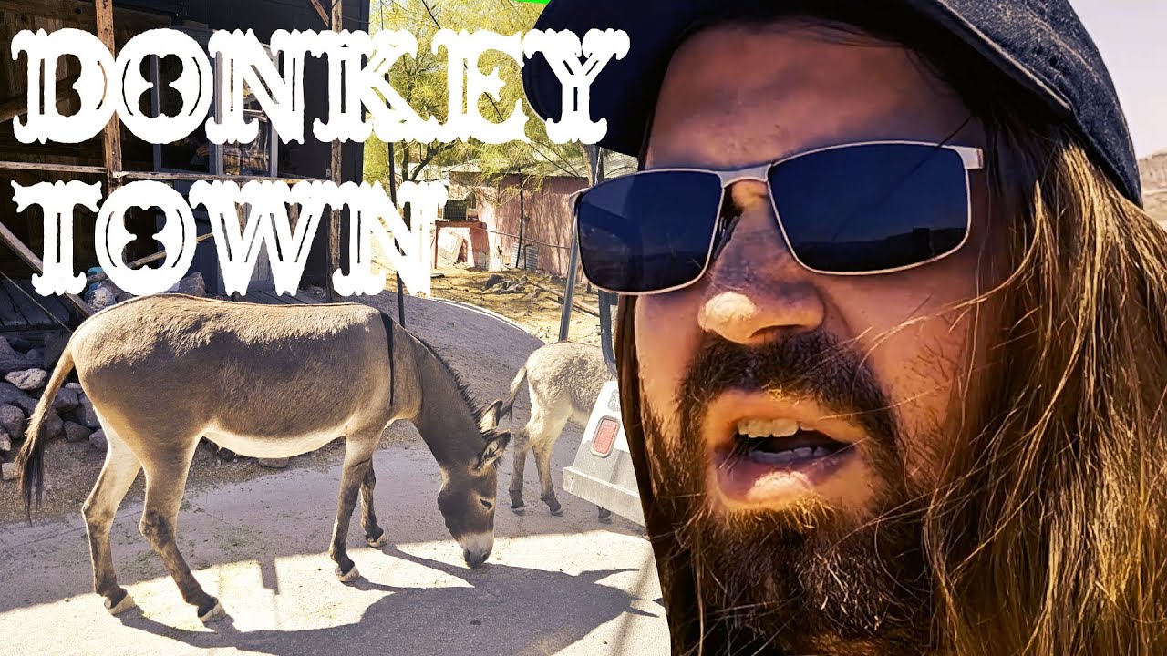 DONKEY TOWN, USA