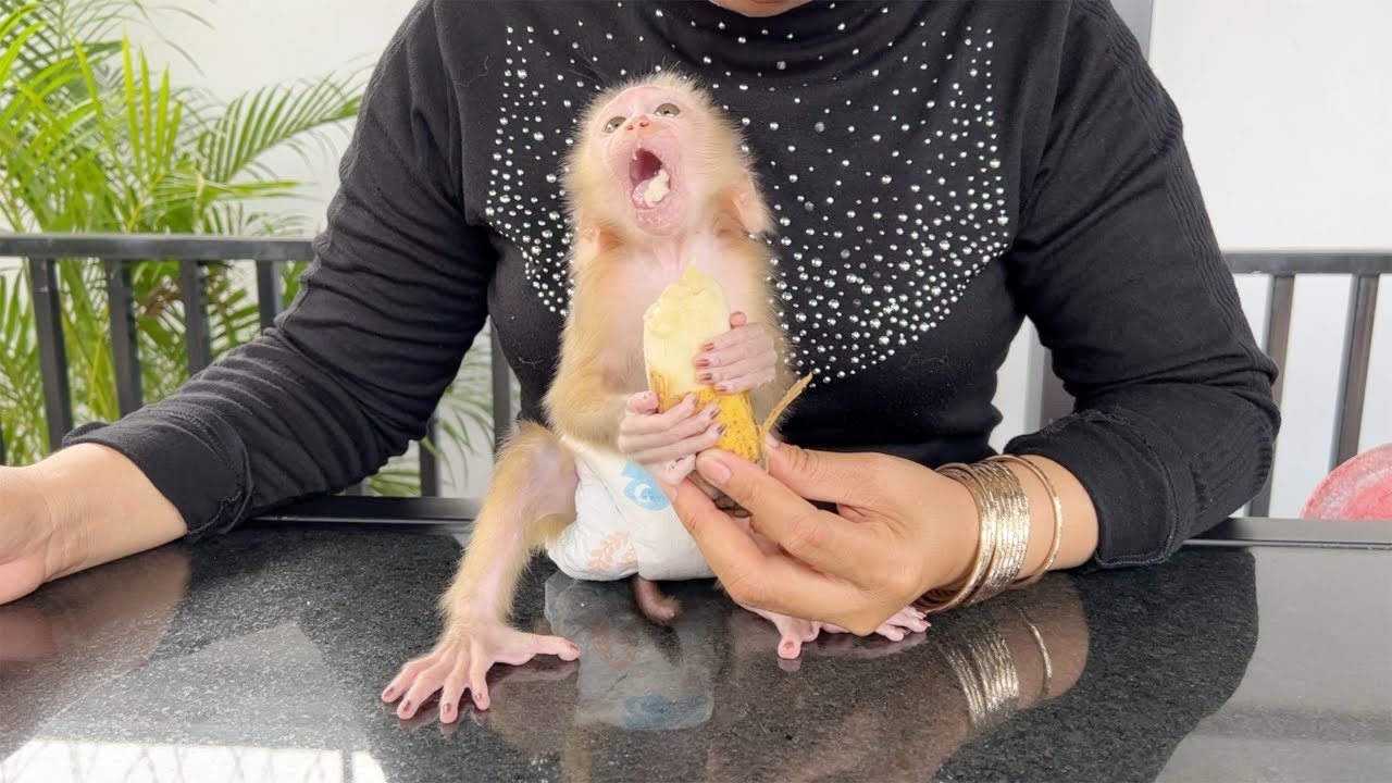 Tiny Girl Baby Katy Very Yummy Eating Ripe Banana