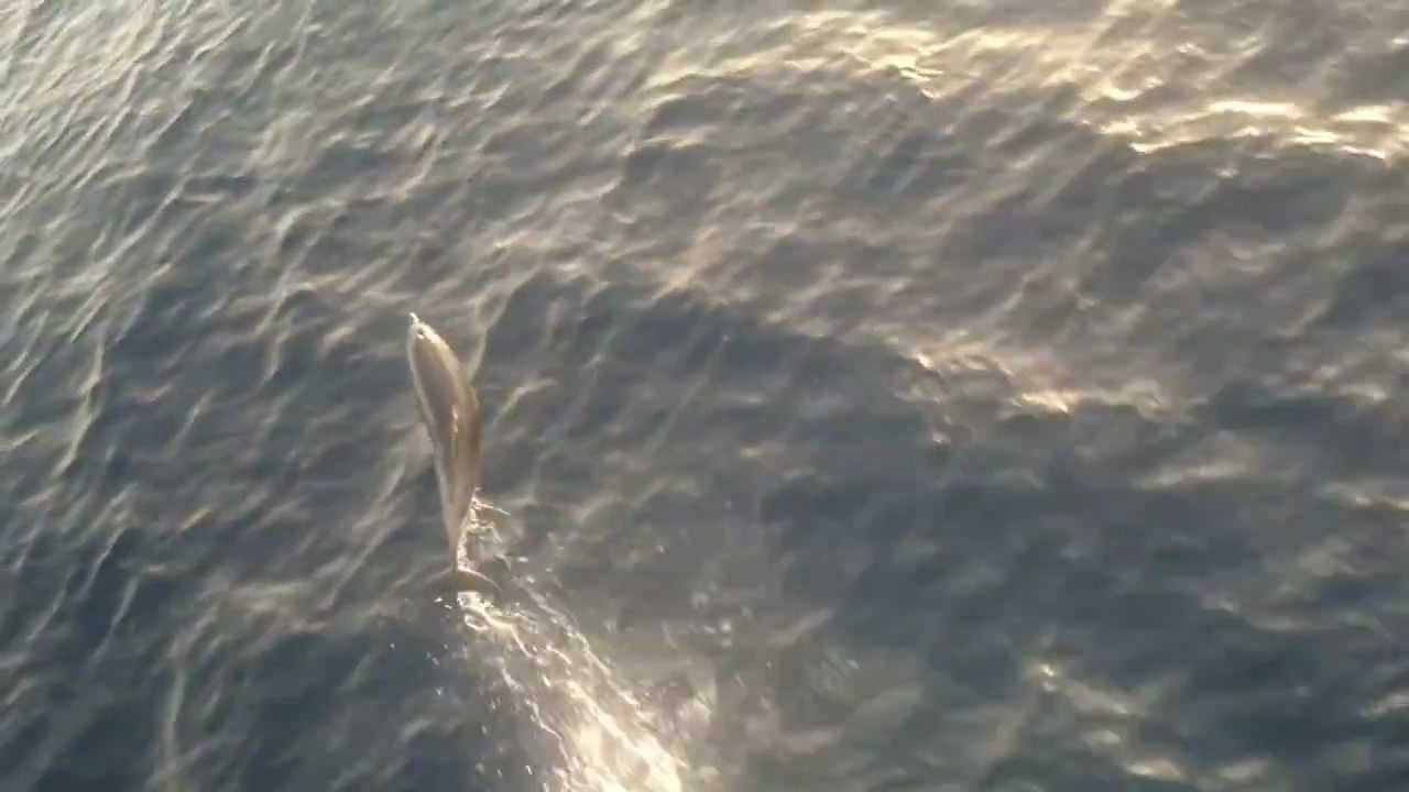 Wilhelmine Essberger Med. Sea 2012.mp4