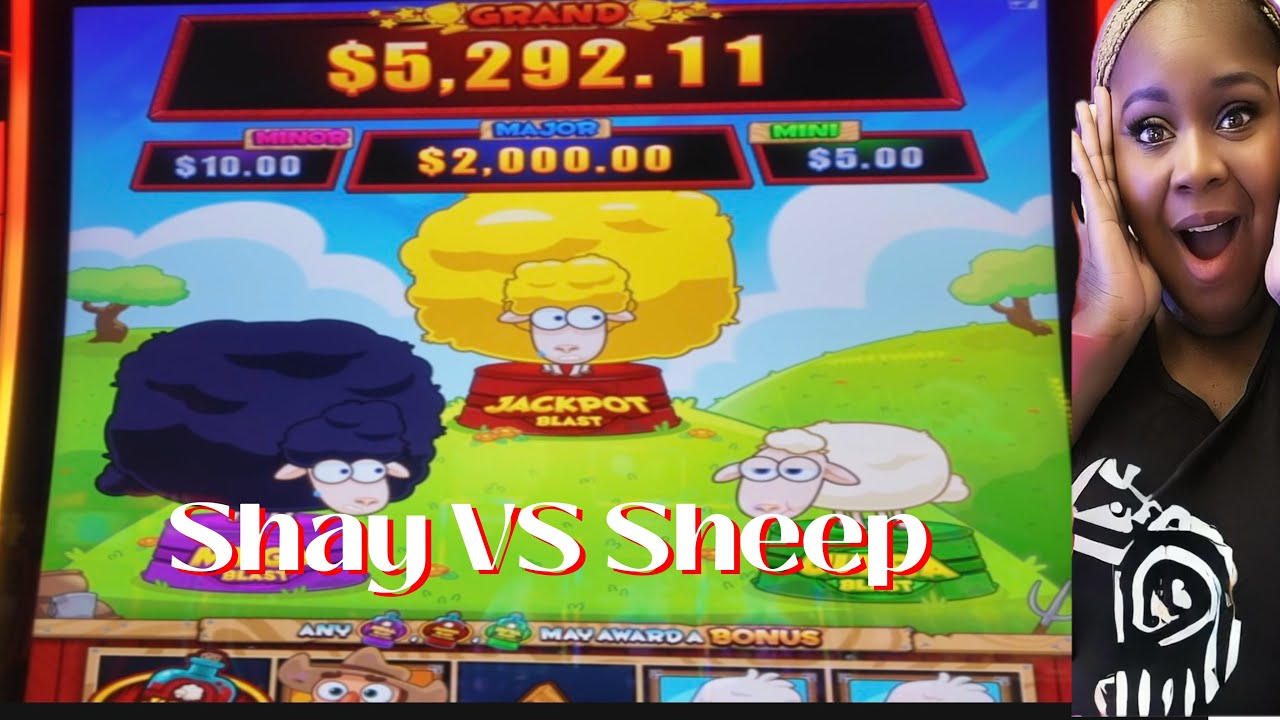 💥🐑 Shay vs Sheep — Who Will Win the Bah-Boom Battle?! 🐑💥