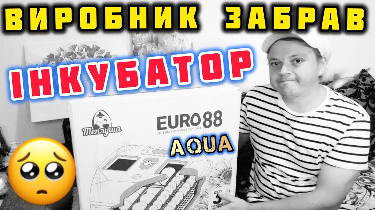 ❌Виробник забрав в мене ІНКУБАТОР😭Теплуша Euro 88 AQUA 😔