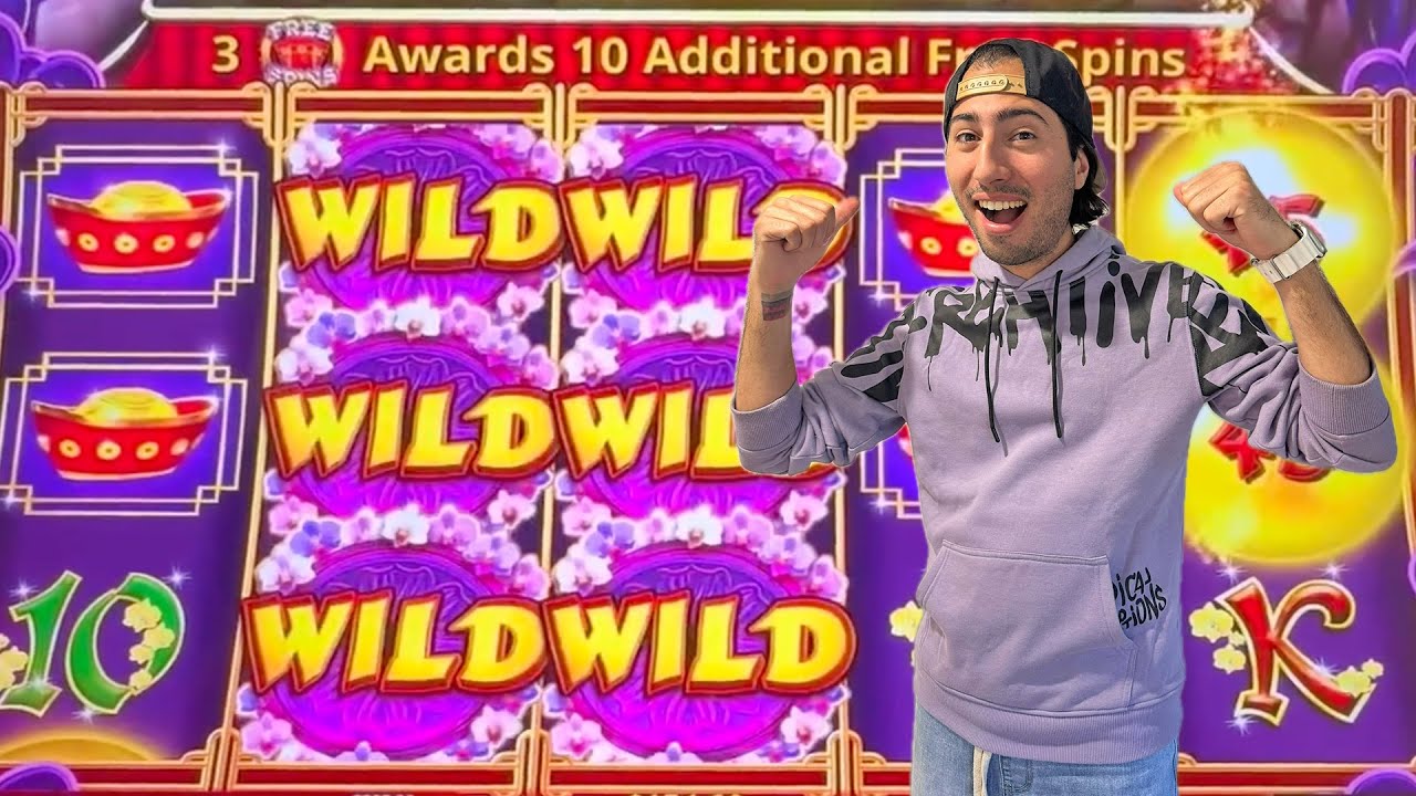 Удивительные выигрыши в Prosperity Link – Pompsie Slots выигрывает БОГАТЫЕ бонусы!