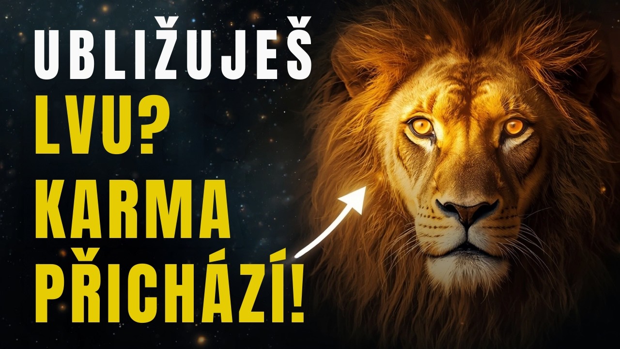 20 DŮVODŮ, PROČ NIKDY NESMÍTE UBLÍŽIT LVU 🦁 KARMA SI PRO VÁS PŘIJDE!