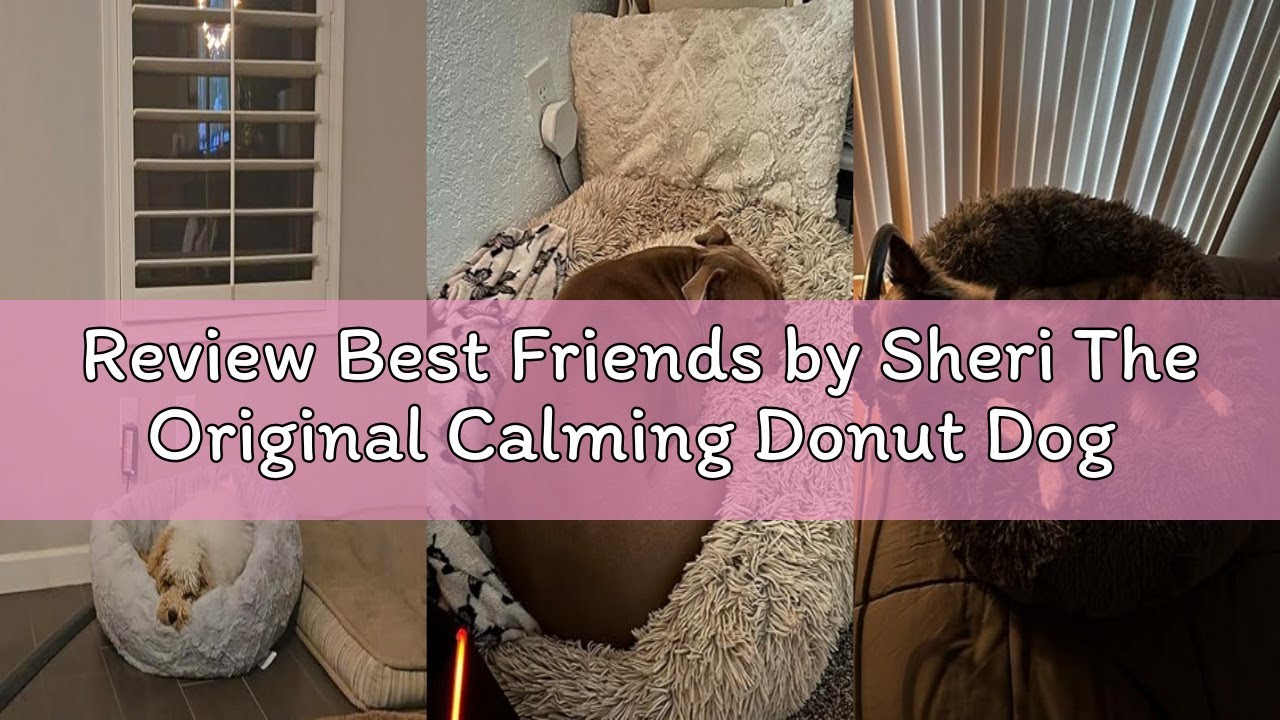 Review Best Friends by Sheri The Original Calming Donut Dog Bed – Washable Plush Pet Bed for Cats &