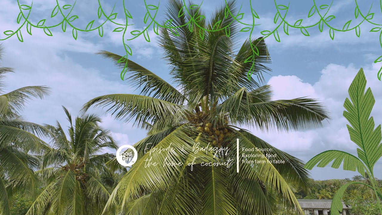 Episode 4: The coconut debate- Is Badagry a shadow of its former self?