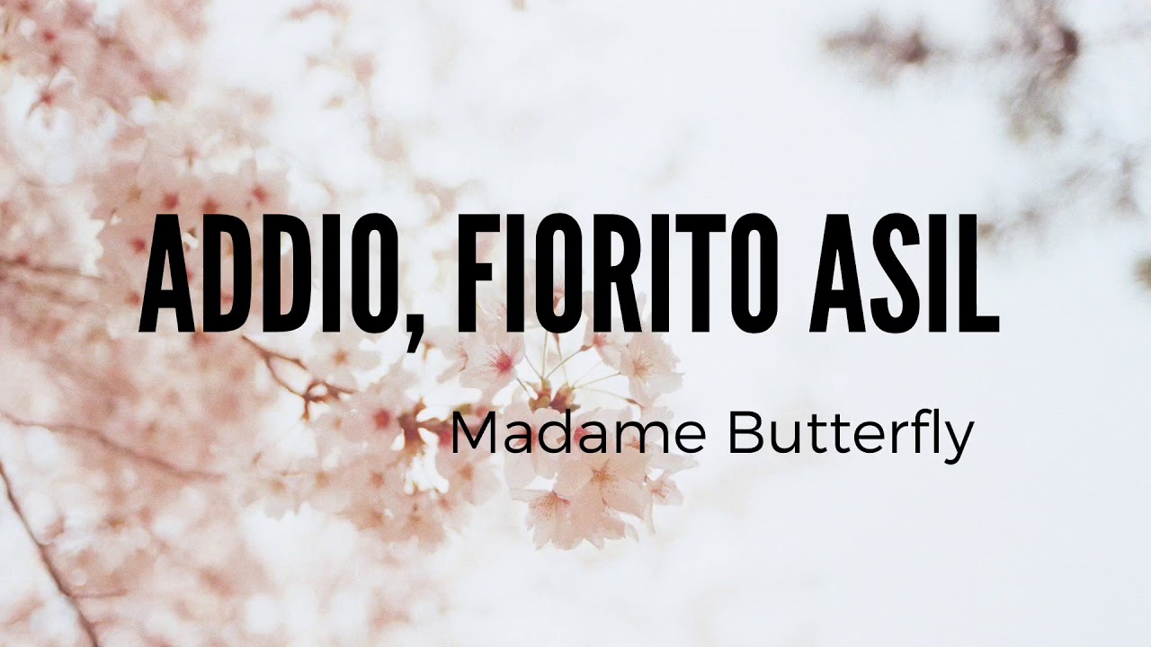 Addio, fiorito asil - Instrumental -  Madame Butterfly