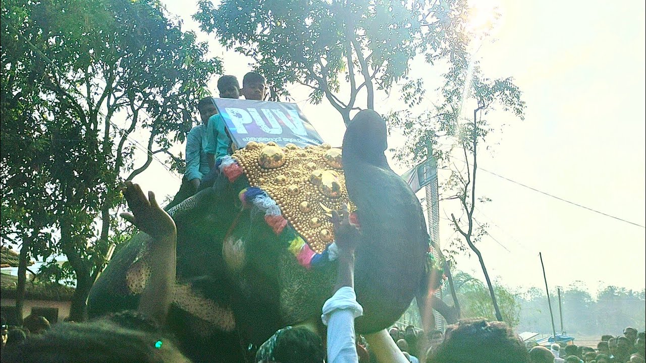 തെരുവ് നേർച്ച, പുതുക്കോട് ഖാദർ  ഔലിയ  ചന്ദനക്കുടം നേർച്ച 2022 puthucode fest part 8 #mjvlogger