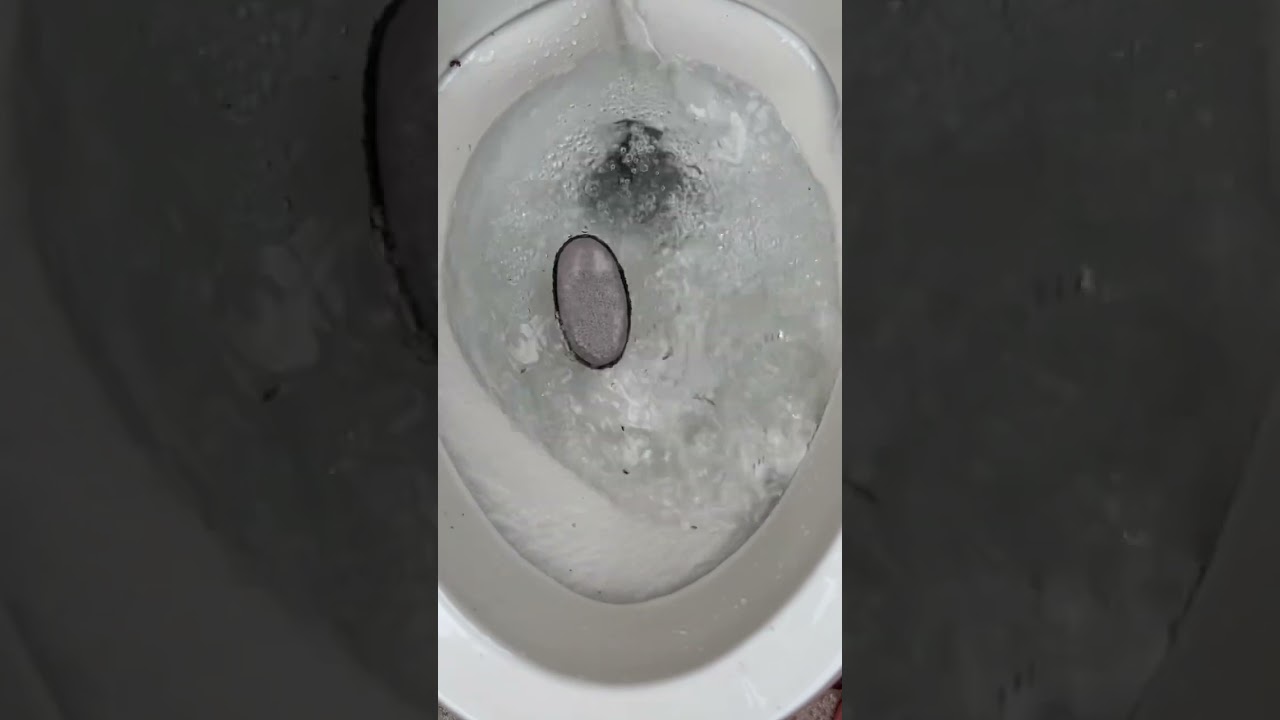Flushing a stick and a pumice stone