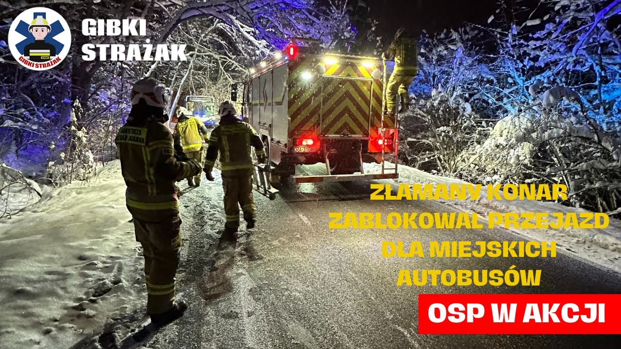 POWALONY KONAR I ZABLOKOWANA DROGA [OSP ALARMOWO]