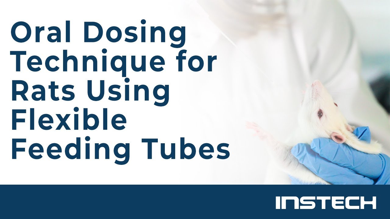 Oral Dosing Technique for Rats Using Flexible Feeding Tubes