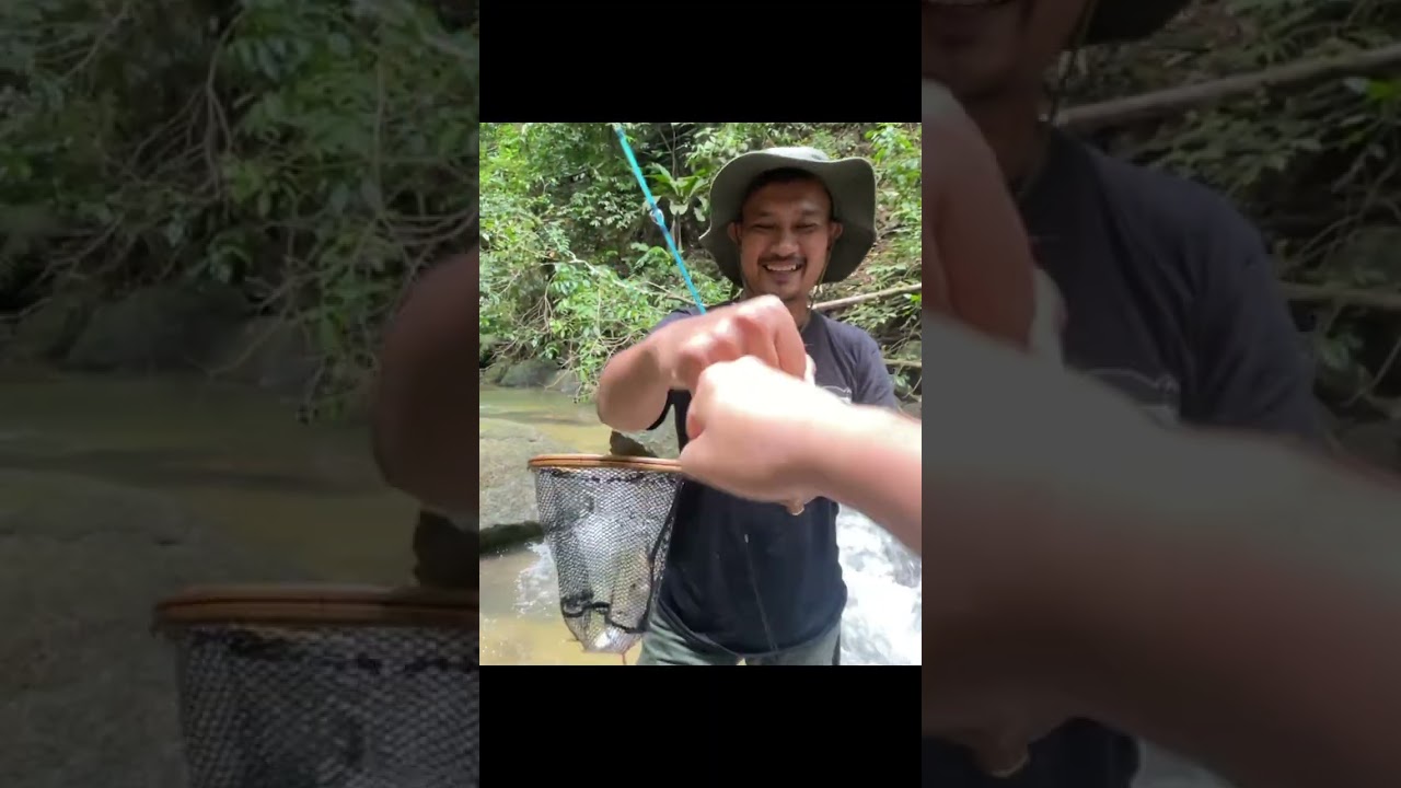 Terstrike Tanpa Sengaja #wildstream #Tengas #jeramangler #streamfishing #abugarcia #1601C