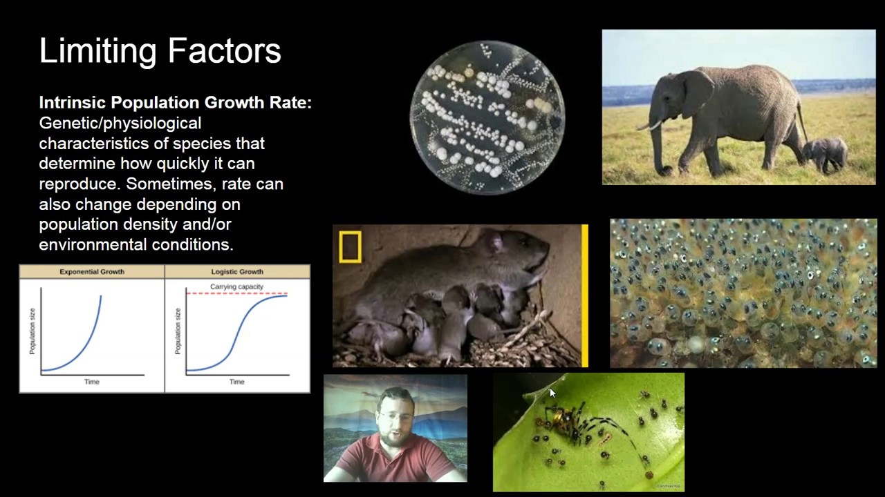 Ecosystems: Relationships - Objective 3: Population Ecology & Limiting Factors