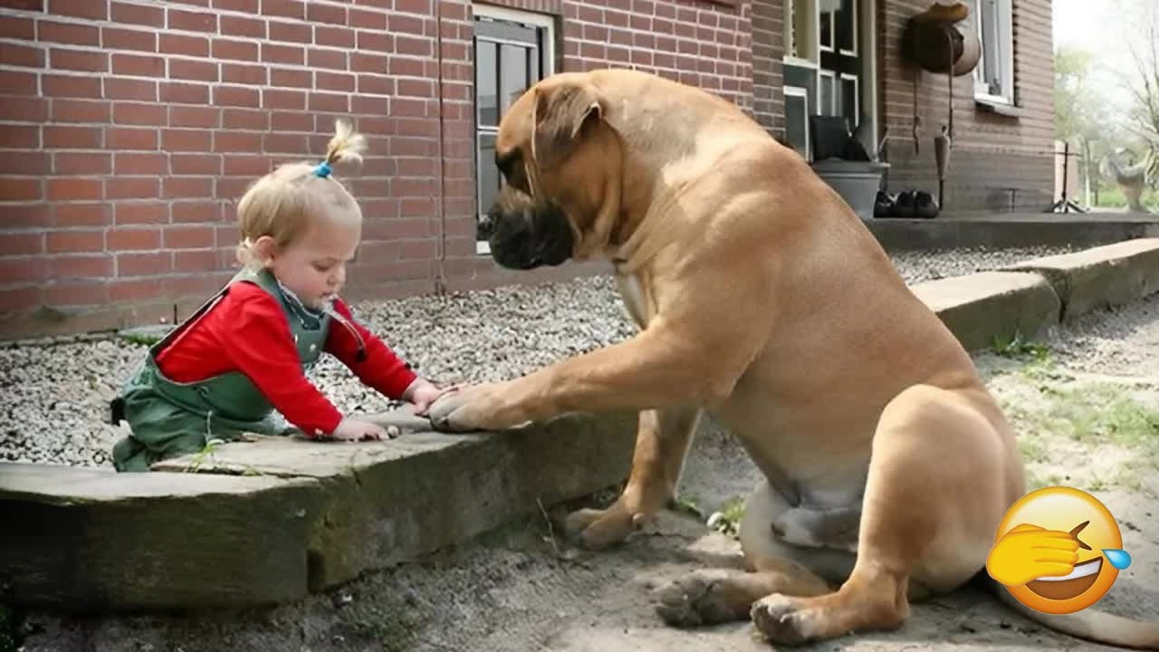 A dog's love for a baby - Heartwarming moments! 🍣 