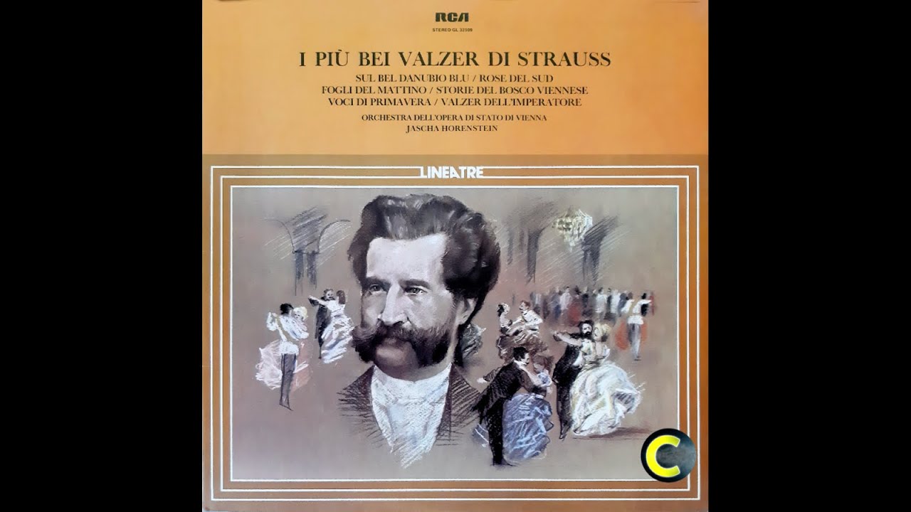 I pi&ugrave; bei valzer di Strauss