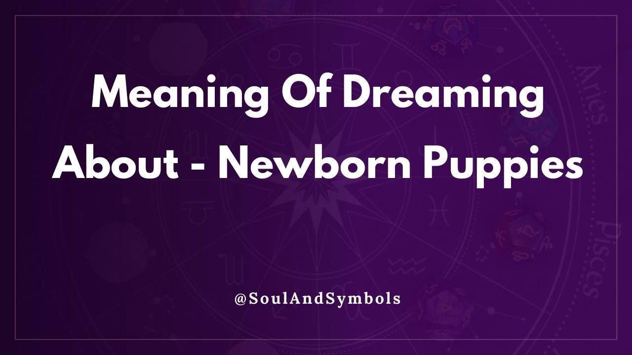 Meaning Of Dreaming About Newborn Puppies 🌙