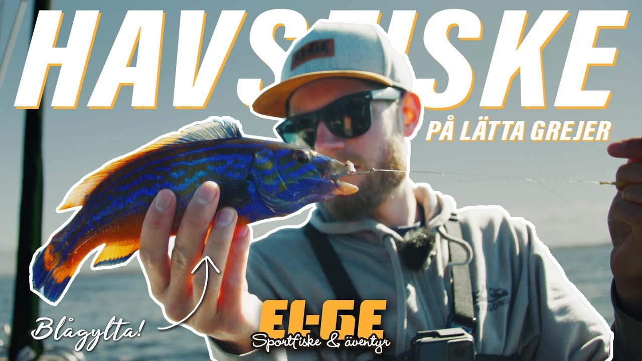 Makrill & berggyltafiske på västkusten (4K)| OSKAR PROVAR | www.el-ge.se