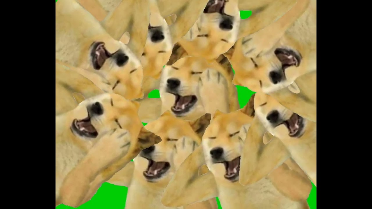 Doge savage template 😎🔥 | green screen 🟢 |thug doge | Robin doge