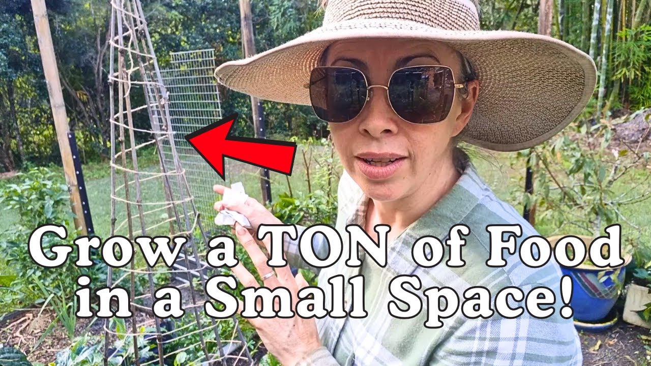How to make the world's easiest trellis for climbing plants (especially in a small space).