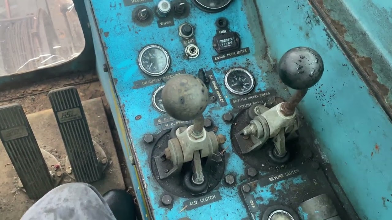 Прогулка по дворнику Skagit BU739