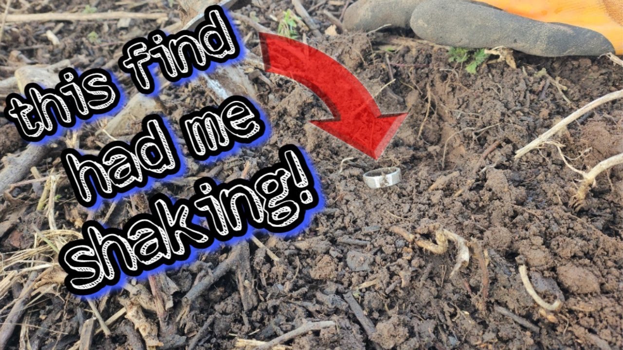 Heart-Pounding Winter Hedgerow Discovery :Metal detecting uk