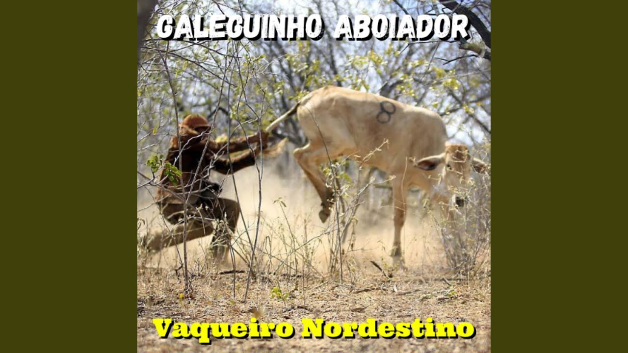 Homenagem ao Meu Irmão
