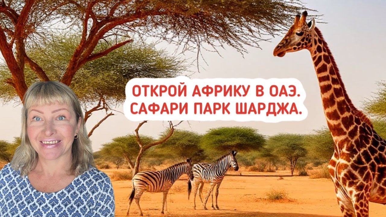 Открой АФРИКУ в ОАЭ! Удивительный сафари парк в Шардже. Экскурсии с Еленой.