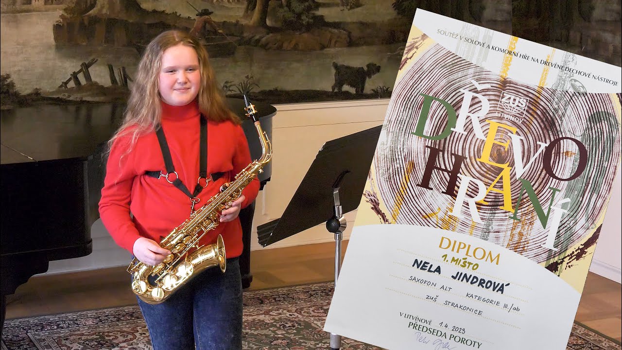 Nela Jindrová, 10 let, 1. místo Litvínovské dřevohraní, Eric Veldkamp - Let's go out, ZUŠ Strakonice