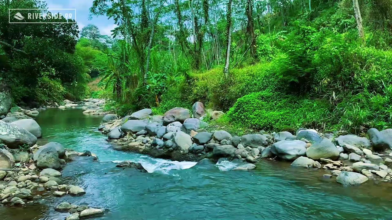 River Sounds for Sleeping 24/7 | Deep Relaxing Water Flow for Instant Night Sleep and relaxation #2