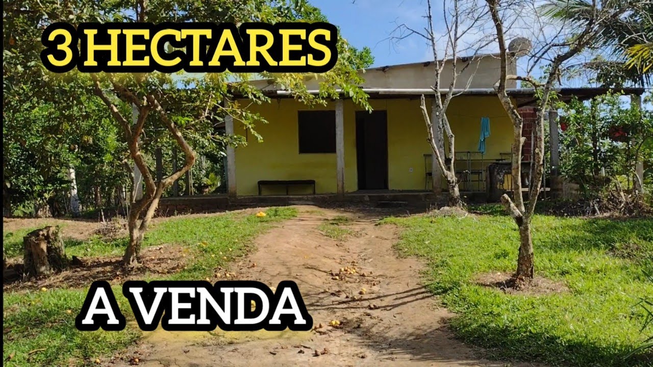 VENDIDA/ 3 HECTARES COM CASA  E BASTANTE FRUTÍFERAS 85 MIL EM ILHÉUS BA #sítiosavenda