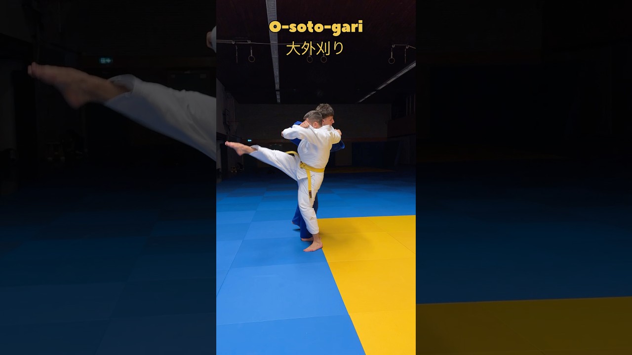 Judo Throws for Yellow Belt: Gi 🥋 No-Gi 🤼 #judo #yellowbelt #judotechnique