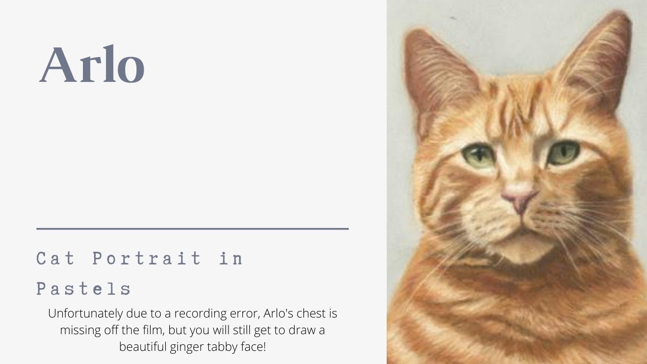 Arlo Pastel Cat Portrait