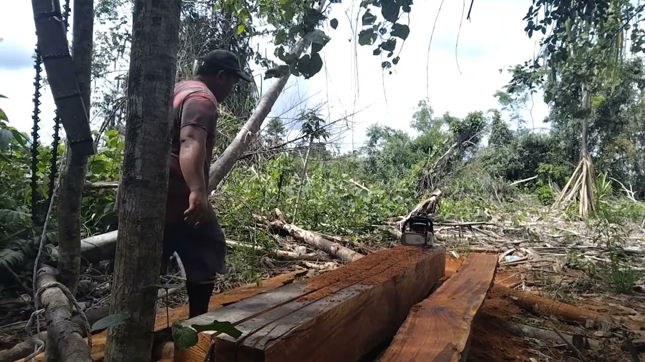 NYAYAT @ MELAH KAYU RENGAS