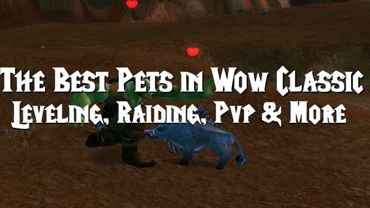Best Pets in Wow Classic For Leveling, Raiding, PvP, Farming & More