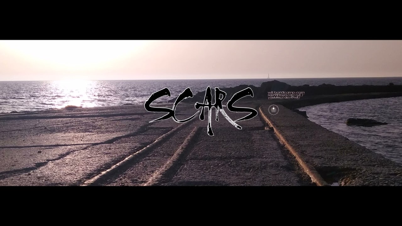 SCARS｜[WILI]