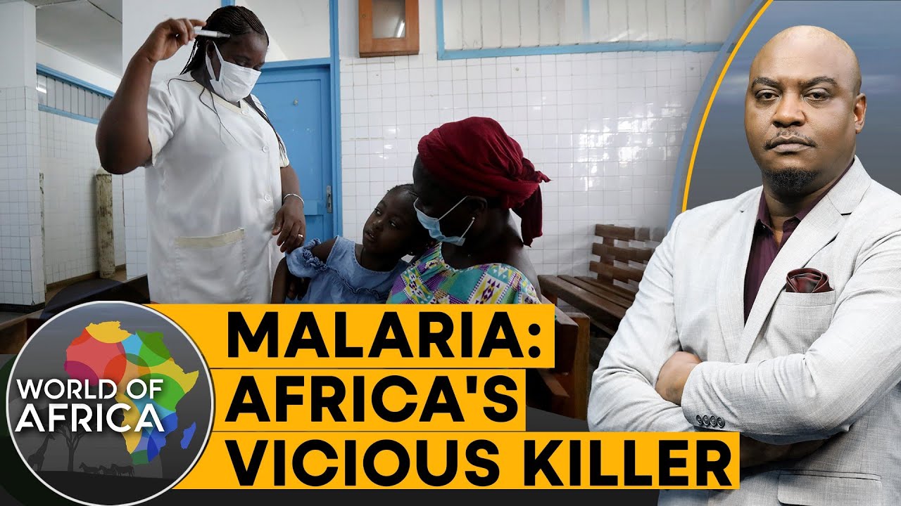 Long road of eradicating malaria in Africa | World of Africa