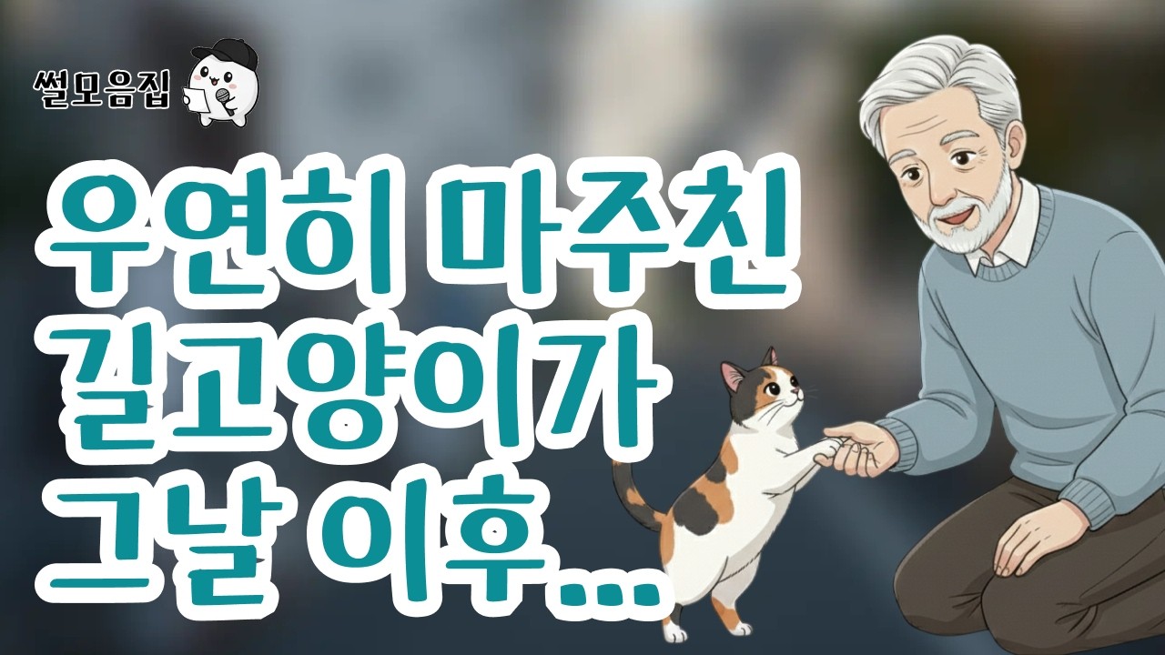 우연히 마주친 길고양이가 그날 이후... #인생사연 #위로 #사연라디오 #사연 #썰 #감동사연 #감동