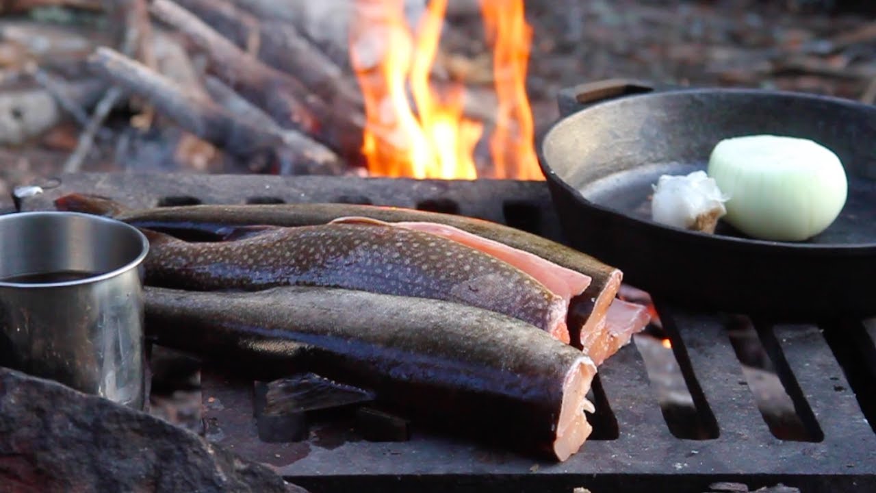 Boundary Waters Lake Trout--A Gift from the North