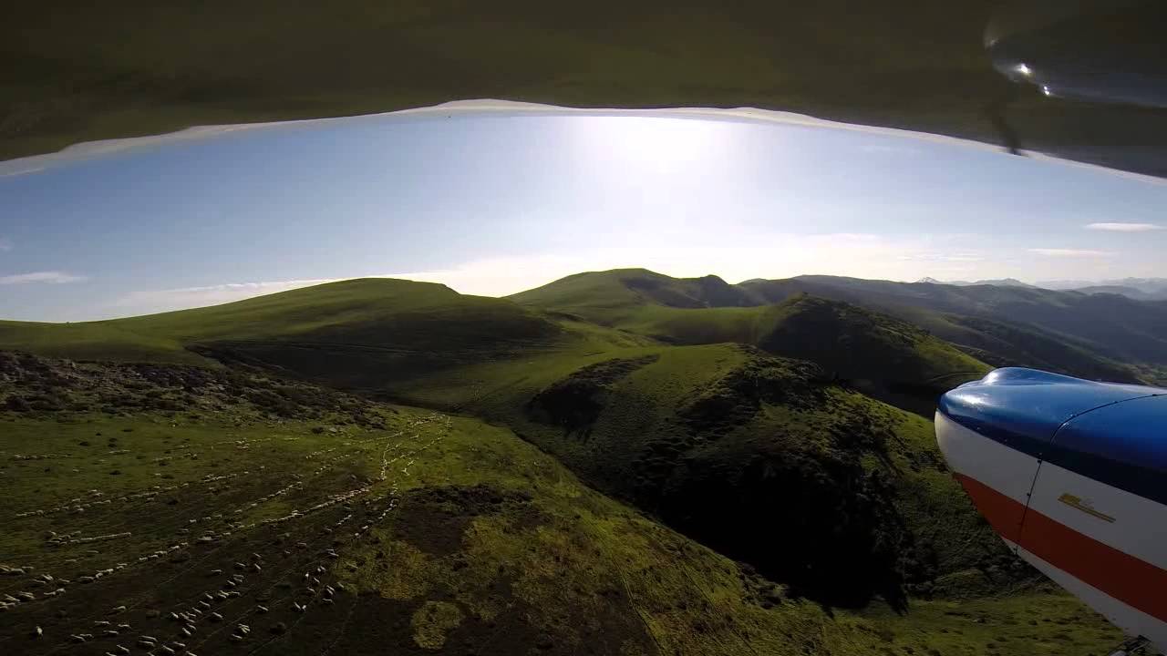Ulm Tetras en montagne