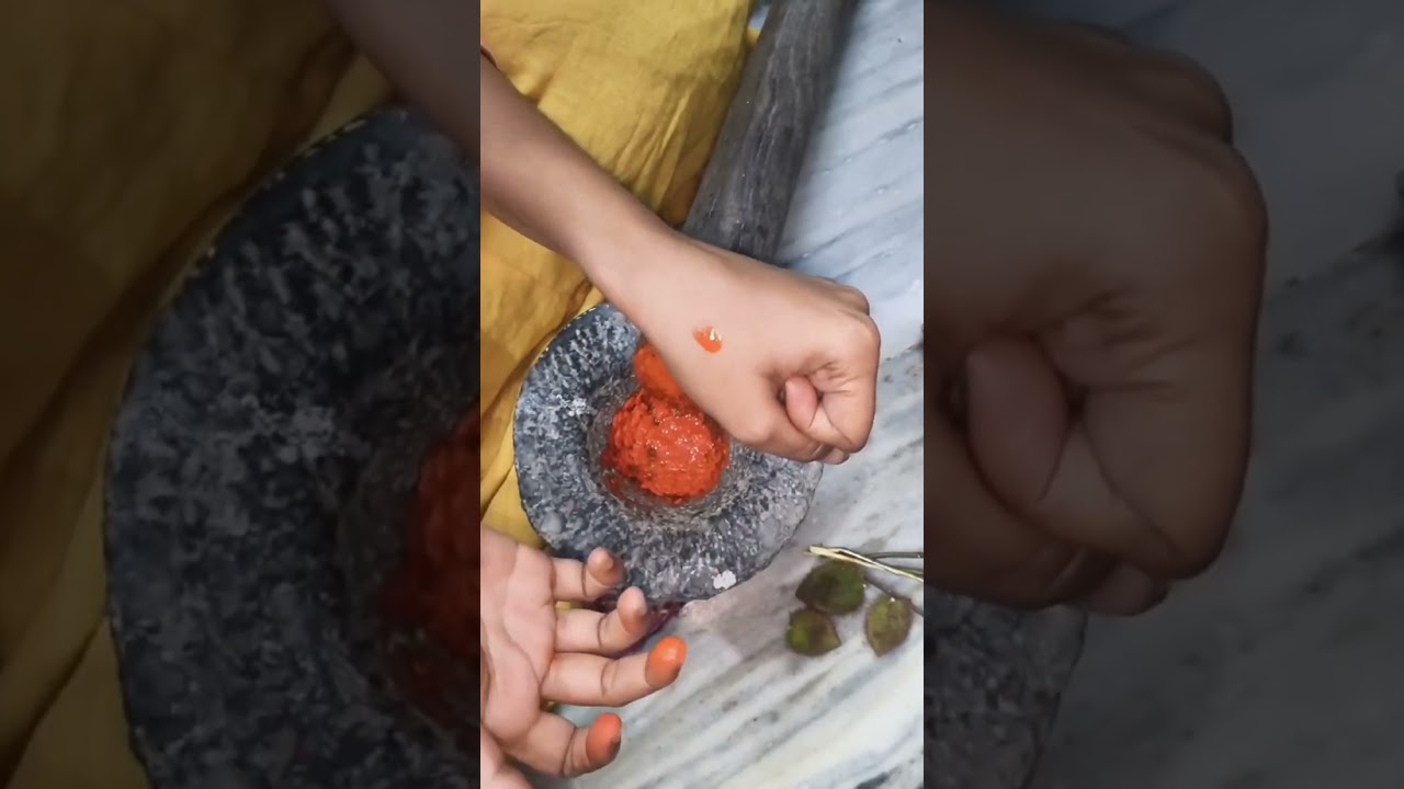 Sindhuram Plant #plants #garden #sindhooram #seeds #flowers #variet#vlog #anjaneyaswami